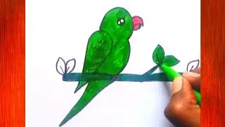 Parrot Drawing || How to Draw Parrot step by step for Beginners || Bird drawing