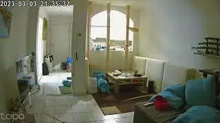 Cat got stuck and chose CHAOS !!!🌪️💥🐱