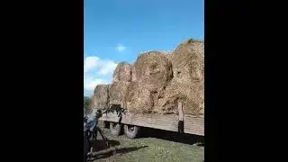 Заготрвка сена.