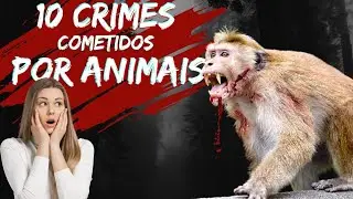 🔞 10 CRIMES COMETIDOS POR ANIMAIS #documentário #curiosidades #mistérios #fatosbizarros