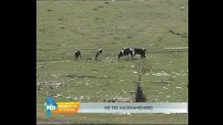 4 гектара плодородной земли испорчено мусором в Иркутском районе