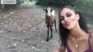 This girl was excited about taking a selfie with a goat that was standing behind her. The goat didn'
