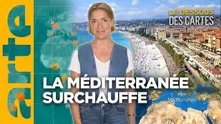 Méditerranée : une mer surexploitée | Le Dessous des Cartes | ARTE