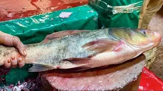 Ultimate Pomfret Fish Cutting Skills | Master Expert Techniques for Perfect Fillets and Clean