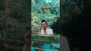GUS BAHA // JUDI ONLINE
