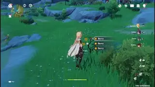 Genshin Impact - Berry locations