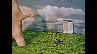The Litterer