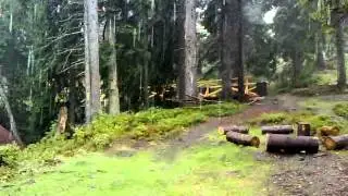 Карпаты, Драгобрат - дождь в Карпатах