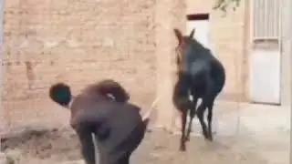 GÜLMEK SANA YAKIŞIYOR