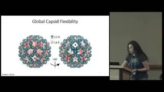 The Hepatitis B Capsid through the Computational Microscope - Jodi Hadden