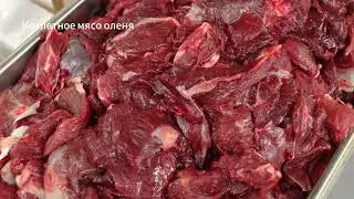 Оленина котлетное мясо. Видео с производства.