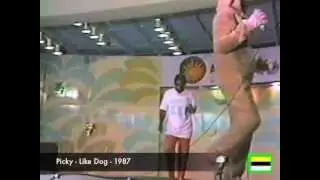 Picky - Like Dog - 1987