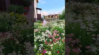 СЕЛЬСКИЙ ЦВЕТНИК