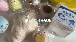 Ibloom Squishy Package ☃️