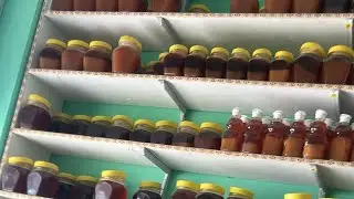 Shehad kab nikale // honey harvesting time in June