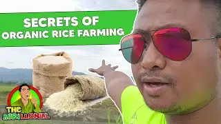LARGEST ORGANIC RICE Cooperative in Mindanao (Farm Tour + Tips) | The Agrillenial