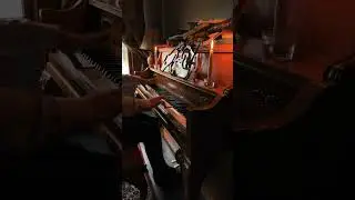 Marleybone Theme (Wizard101) Piano Cover - Joshua Kyan Aalampour 8/22/2024