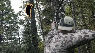 Stick Bow Bear Hunt with Primitive Outfitting
