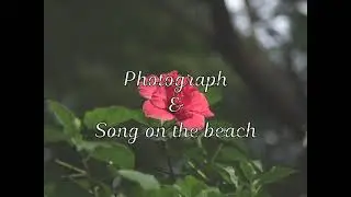 Photograph & Song on the beach - Arcade Fire & Owen Pallet (Cover de Lorelí)