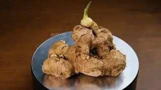 Cinematic Sexy Ginger