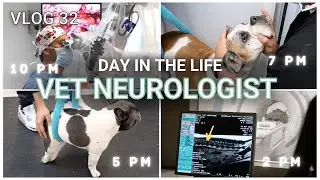 Boxer with Symptoms of Vestibular Disease: What this could mean || Vlog 32