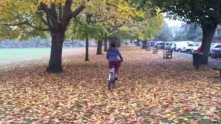 Autumn Ride