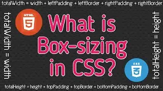 Box-sizing in CSS Explained | CSS Box Model Overview