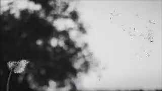 Cøncept - Conquer