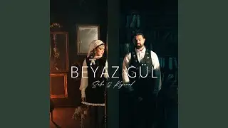 Beyaz Gül