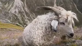 Приэльбрусье пик Терскол