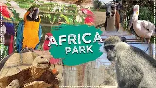 Africa Park vlog