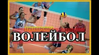 СПОРТ - ТРЕНИРОВКА ЖЕНСКОГО ВОЛЕЙБОЛА смотреть онлайн в 4К