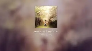 sounds of nature