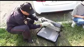 Забытые на улице 15 миллионов рублей дождались своего хозяина