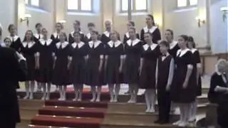 В.А.Моцарт Agnus Dei