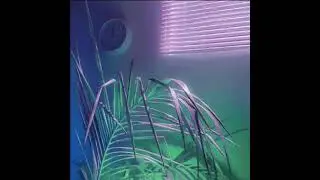 [VENDIDO] Funk De BH Type Beat - 