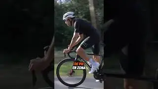 Este es uno de MIS ENTRENO PREFERIDOS