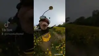Busy Bee - 
