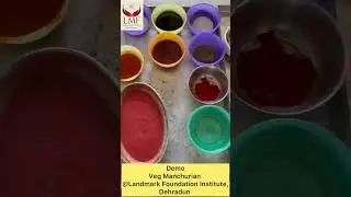 Demo - VEG MUNCHURIAN | Chinese Series | LANDMARK FOUNDATION INSTITUTE | DEHRADUN