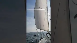 kelt 620