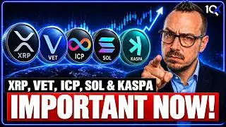ICP, XRP, VET, SOL & KASPA: Are they about to EXPLODE? 😱