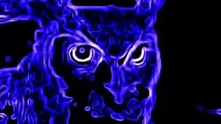REVERSED Horned Owl Hoot