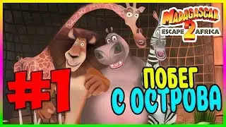 Прохождение Мадагаскар 2. ПОБЕГ ИЗ МАДАГАСКАРА. #1