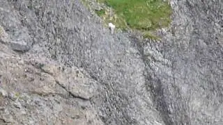 Nanny and kid still moving through cliffs