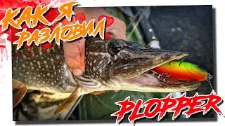 How I caught a plopper and broke the spinning!