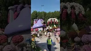 Explore and Enjoying Miracle Garden Dubai
