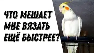 2 минуты процесса вязания крючком 🧶 немного закулисья с помощником)