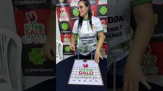 Sorteio de dia 04/06 - Galo da Sorte - Parceiro do Diário de Posse
