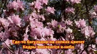 Где то багульник на сопках цветет