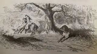 L'âne et le chien - Document sonore 2° AM - Séquence 4